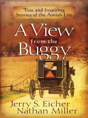 cover image of A View from the Buggy